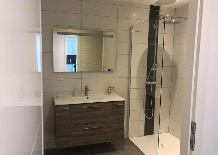 Magniolia Proche Centre 公寓 科尔马